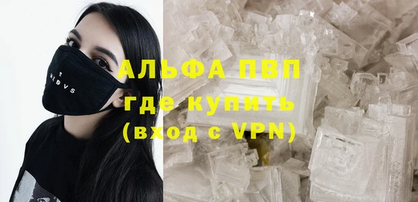 прущие грибы Гусиноозёрск