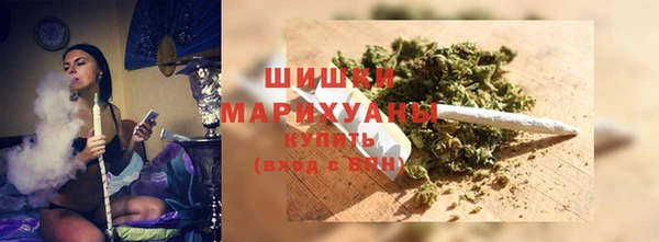 прущие грибы Гусиноозёрск