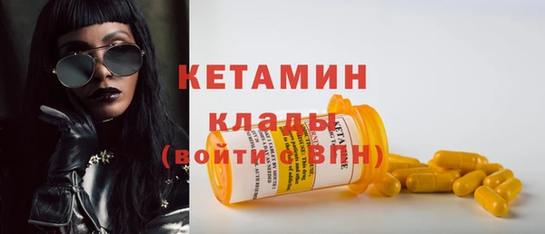 прущие грибы Гусиноозёрск