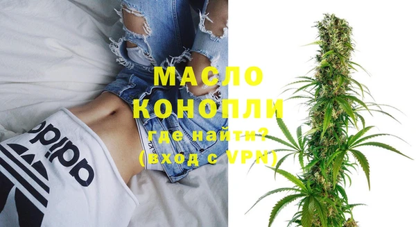 прущие грибы Гусиноозёрск